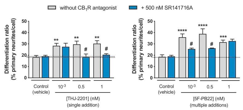 https://cdn.ncbi.nlm.nih.gov/pmc/blobs/b88b/7503567/5e4cce381b52/ijms-21-06277-g006.jpg