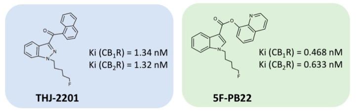 https://cdn.ncbi.nlm.nih.gov/pmc/blobs/b88b/7503567/92ba9fda3843/ijms-21-06277-g008.jpg