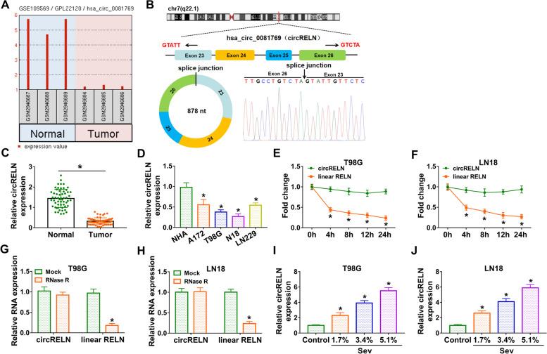 https://cdn.ncbi.nlm.nih.gov/pmc/blobs/b88b/8414757/2078af05e52b/12871_2021_1427_Fig1_HTML.jpg