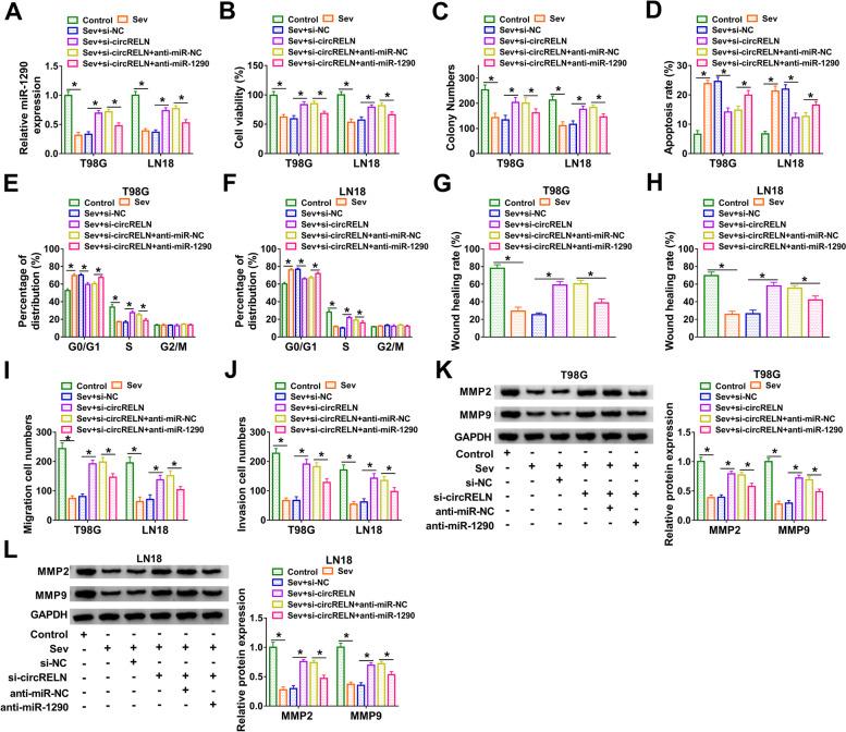https://cdn.ncbi.nlm.nih.gov/pmc/blobs/b88b/8414757/979adc50e880/12871_2021_1427_Fig4_HTML.jpg