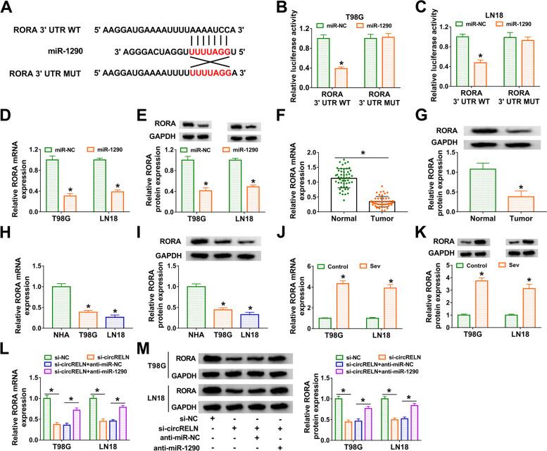 https://cdn.ncbi.nlm.nih.gov/pmc/blobs/b88b/8414757/c80fccbf099b/12871_2021_1427_Fig5_HTML.jpg