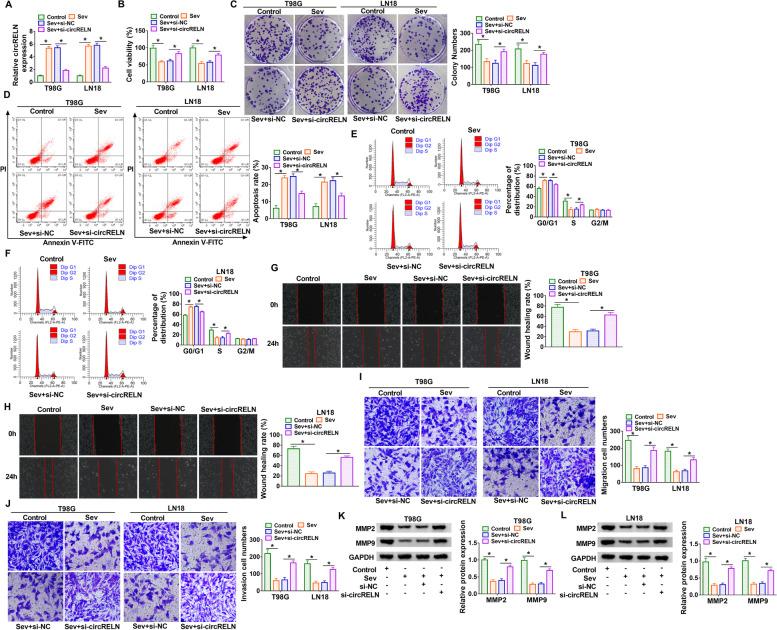 https://cdn.ncbi.nlm.nih.gov/pmc/blobs/b88b/8414757/e081a6b293f0/12871_2021_1427_Fig2_HTML.jpg