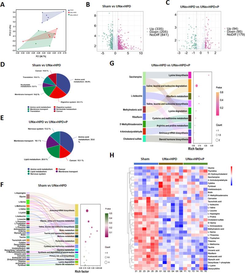 https://cdn.ncbi.nlm.nih.gov/pmc/blobs/b88f/12060558/188e1b5a1815/12866_2025_4012_Fig5_HTML.jpg