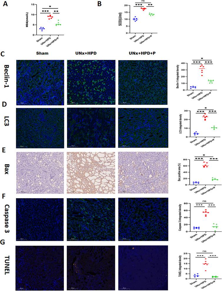 https://cdn.ncbi.nlm.nih.gov/pmc/blobs/b88f/12060558/2d3e57abebb9/12866_2025_4012_Fig2_HTML.jpg