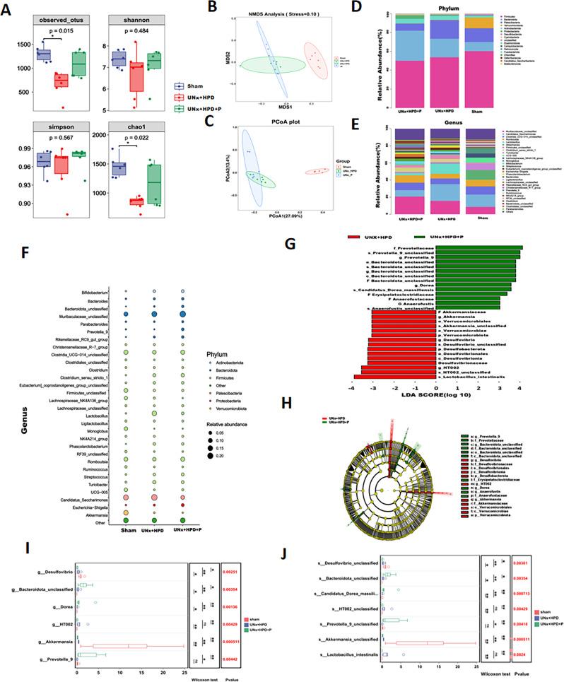 https://cdn.ncbi.nlm.nih.gov/pmc/blobs/b88f/12060558/3c5e2c9cc9e6/12866_2025_4012_Fig3_HTML.jpg