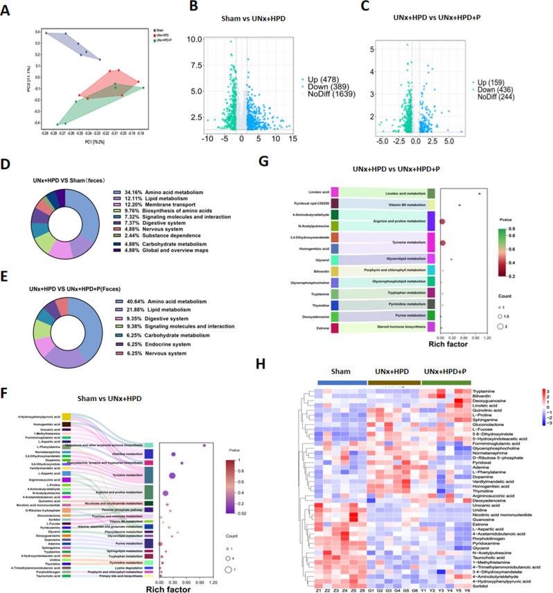 https://cdn.ncbi.nlm.nih.gov/pmc/blobs/b88f/12060558/5fb33afe5cef/12866_2025_4012_Fig4_HTML.jpg