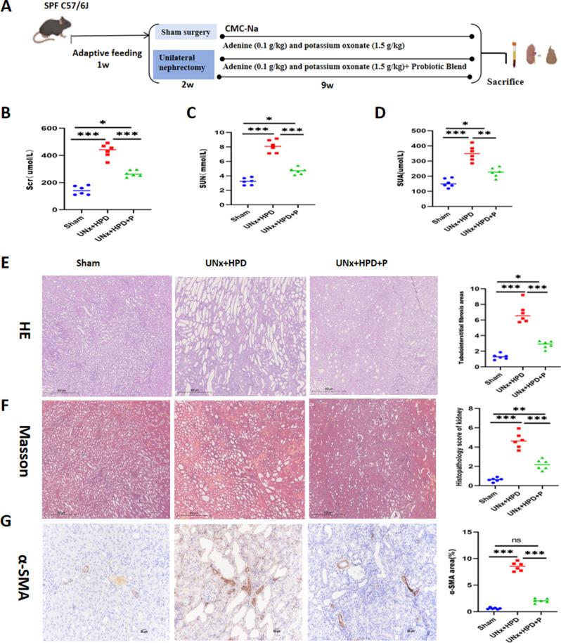 https://cdn.ncbi.nlm.nih.gov/pmc/blobs/b88f/12060558/eab6f20eb63c/12866_2025_4012_Fig1_HTML.jpg
