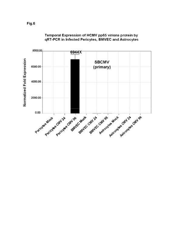 https://cdn.ncbi.nlm.nih.gov/pmc/blobs/b891/3413582/19e650bb6868/1742-2094-9-95-6.jpg