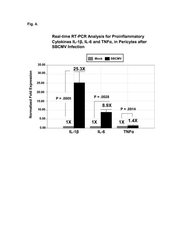https://cdn.ncbi.nlm.nih.gov/pmc/blobs/b891/3413582/70c21340bd86/1742-2094-9-95-4.jpg