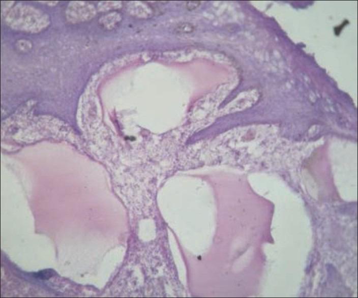 https://cdn.ncbi.nlm.nih.gov/pmc/blobs/b893/4157266/c31fa188bc3b/JPBS-6-188-g005.jpg