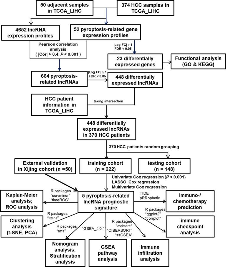 https://cdn.ncbi.nlm.nih.gov/pmc/blobs/b898/8927701/0ee88f90ad43/fonc-12-794034-g001.jpg