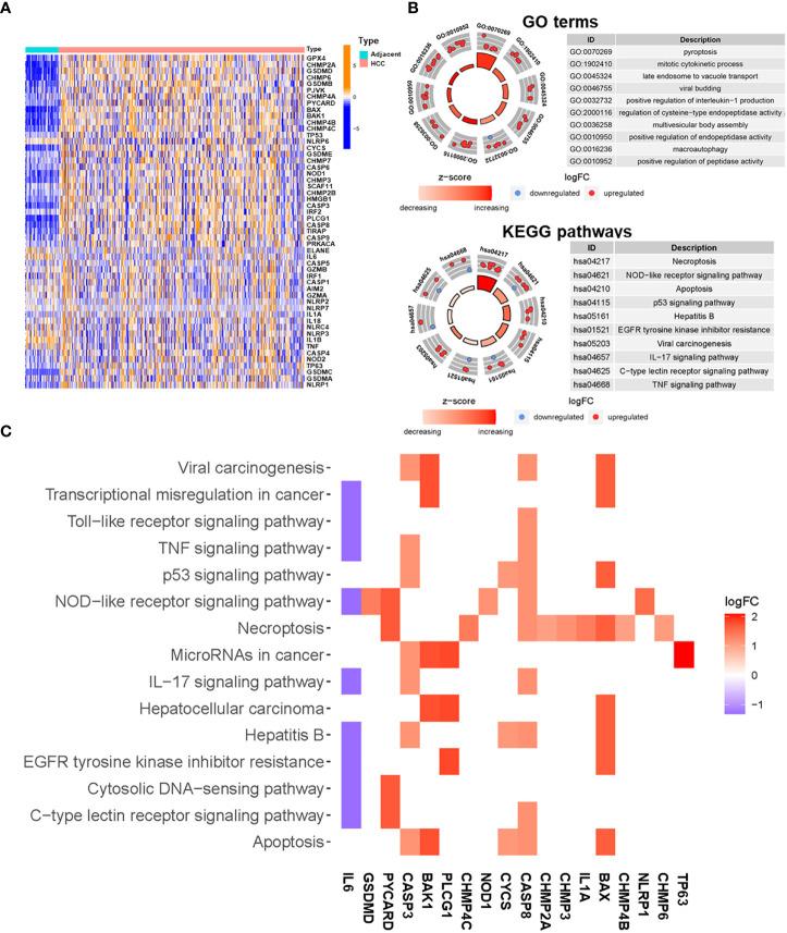 https://cdn.ncbi.nlm.nih.gov/pmc/blobs/b898/8927701/760c807d891f/fonc-12-794034-g002.jpg