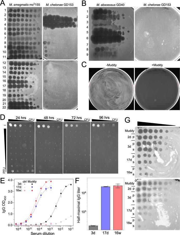https://cdn.ncbi.nlm.nih.gov/pmc/blobs/b89a/9064978/e91fd3ae0cb9/41467_2022_29689_Fig3_HTML.jpg