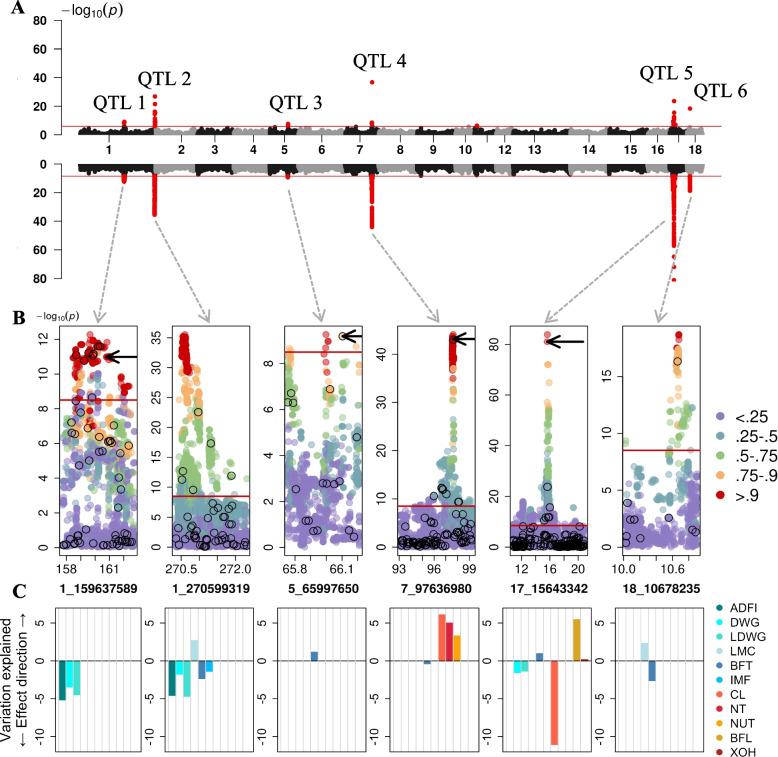https://cdn.ncbi.nlm.nih.gov/pmc/blobs/b89b/10084639/3c3bf03df06f/12864_2023_9295_Fig2_HTML.jpg