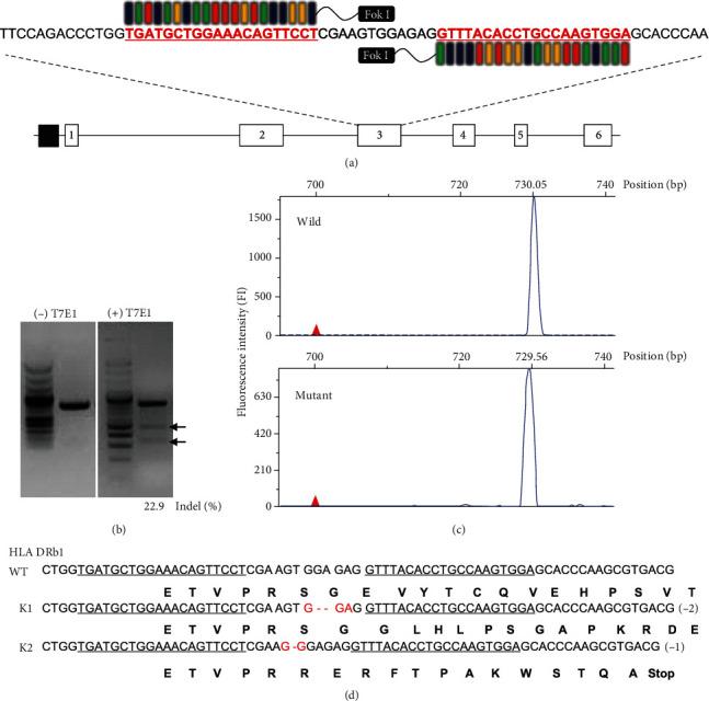 https://cdn.ncbi.nlm.nih.gov/pmc/blobs/b89b/8163544/a1300ce5b8a3/SCI2021-8873383.001.jpg