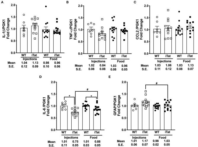 https://cdn.ncbi.nlm.nih.gov/pmc/blobs/b89d/7769877/fc79c3e81ed6/fneur-11-593188-g0006.jpg