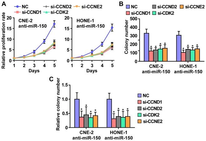 https://cdn.ncbi.nlm.nih.gov/pmc/blobs/b89e/5363880/28cf9772b18f/IJO-50-04-1097-g05.jpg