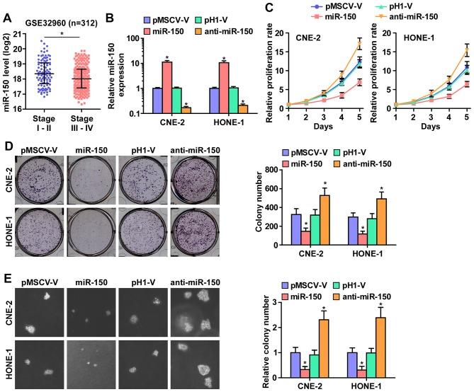 https://cdn.ncbi.nlm.nih.gov/pmc/blobs/b89e/5363880/e3ed45c3d725/IJO-50-04-1097-g01.jpg