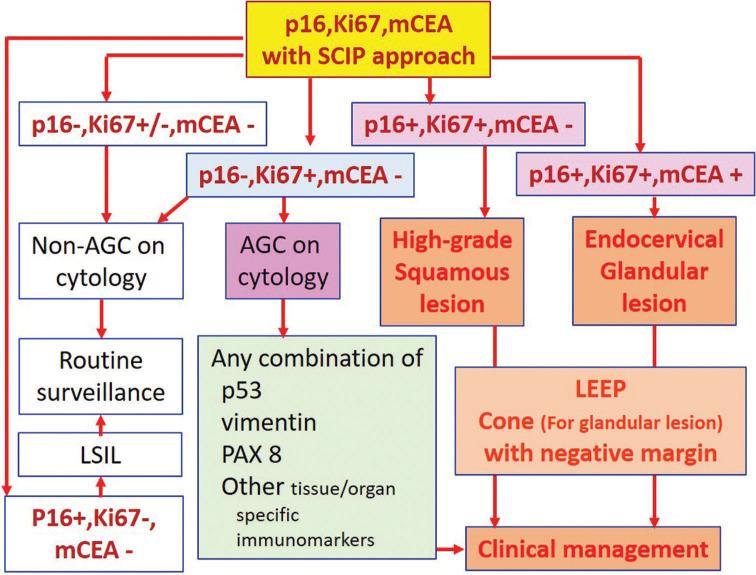 https://cdn.ncbi.nlm.nih.gov/pmc/blobs/b89e/9345115/e119c0487583/Cytojournal-19-42-g004.jpg