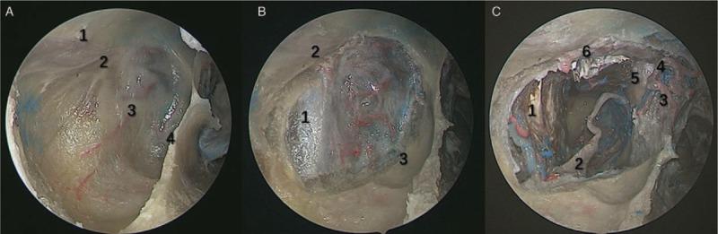 https://cdn.ncbi.nlm.nih.gov/pmc/blobs/b89f/6595853/d9546786f0ff/cm9-132-798-g002.jpg