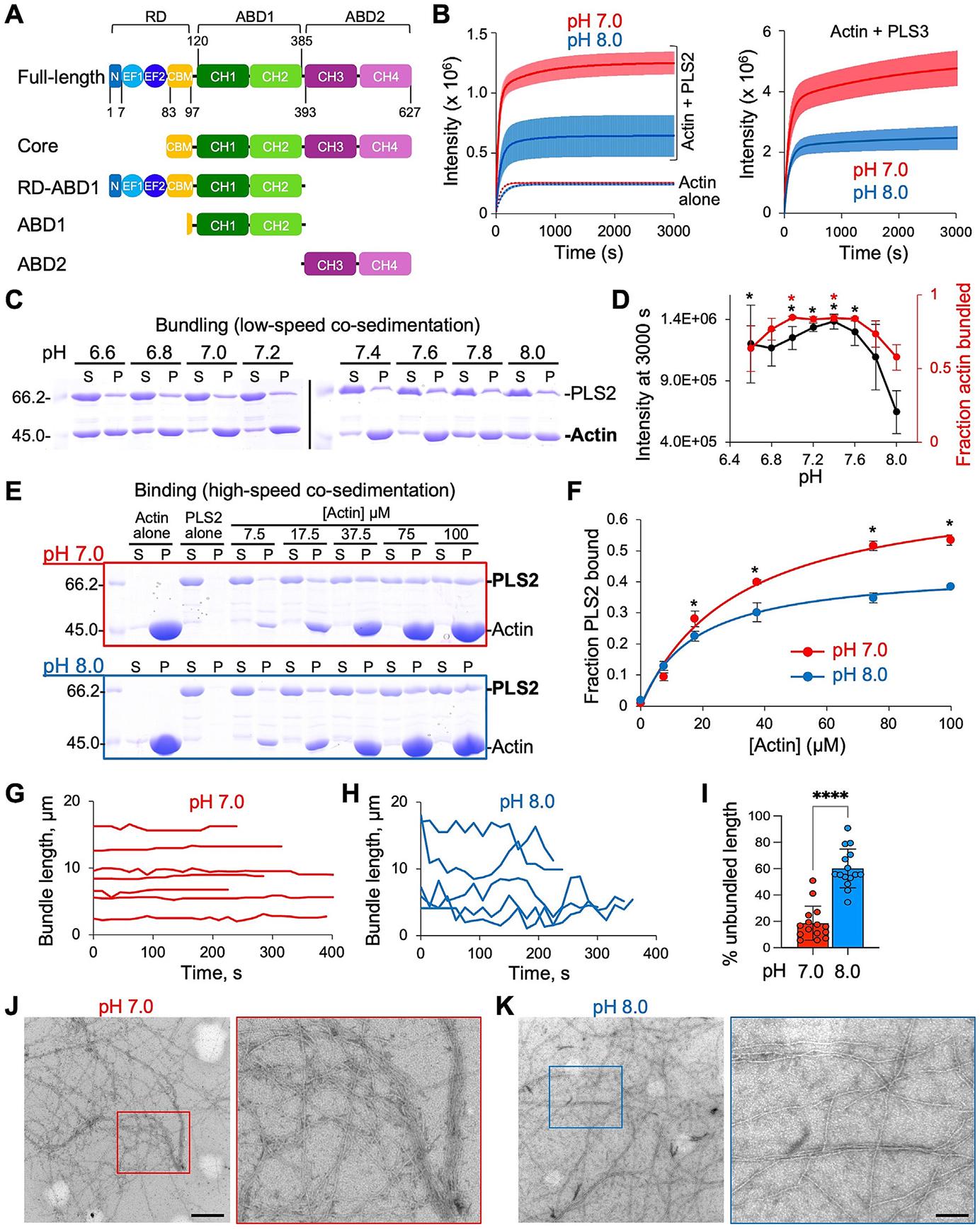 https://cdn.ncbi.nlm.nih.gov/pmc/blobs/b8a3/12309418/32cf1cab24b7/nihms-2097282-f0001.jpg