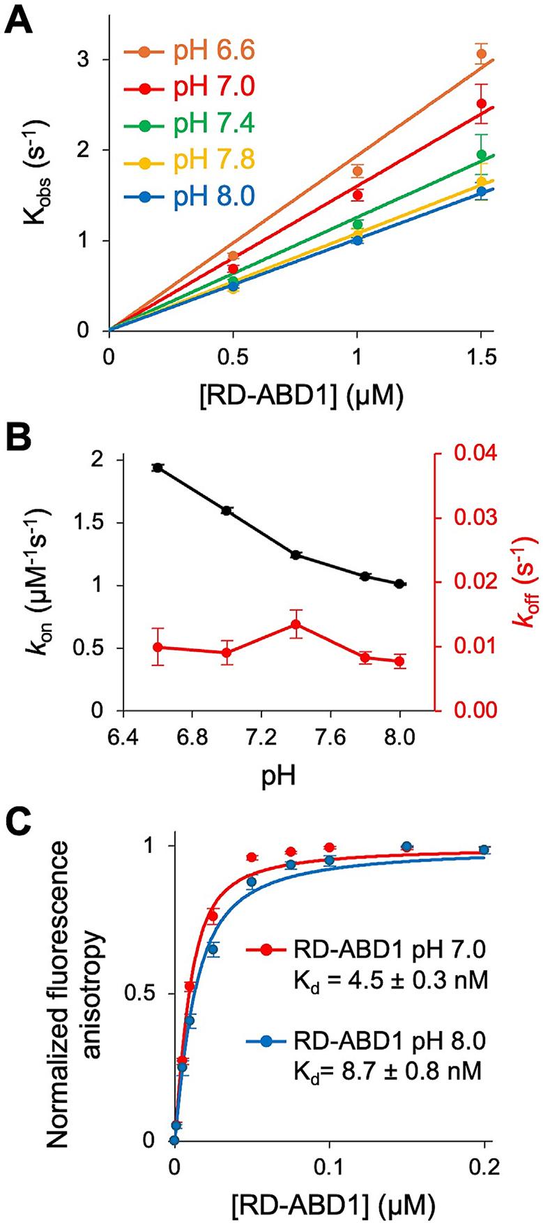 https://cdn.ncbi.nlm.nih.gov/pmc/blobs/b8a3/12309418/5c4a100371bb/nihms-2097282-f0003.jpg