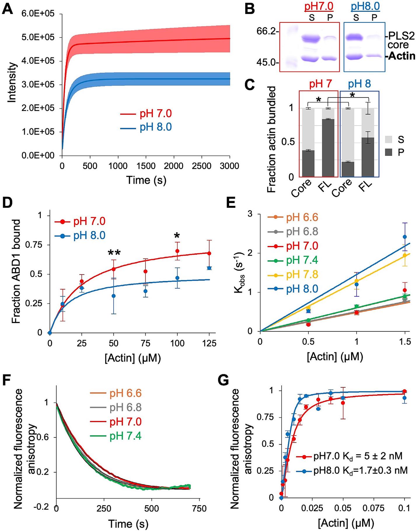 https://cdn.ncbi.nlm.nih.gov/pmc/blobs/b8a3/12309418/9281024df576/nihms-2097282-f0002.jpg