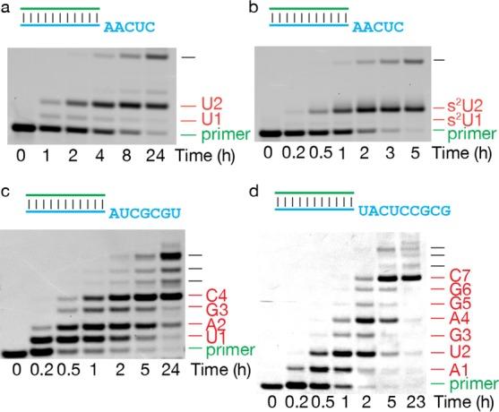 https://cdn.ncbi.nlm.nih.gov/pmc/blobs/b8a3/6326525/fd9c31d6e520/ja-2016-13148b_0004.jpg