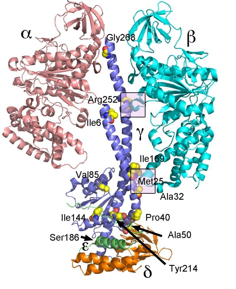 https://cdn.ncbi.nlm.nih.gov/pmc/blobs/b8a4/5348973/0b6756730aa8/mic-02-105-g05.jpg