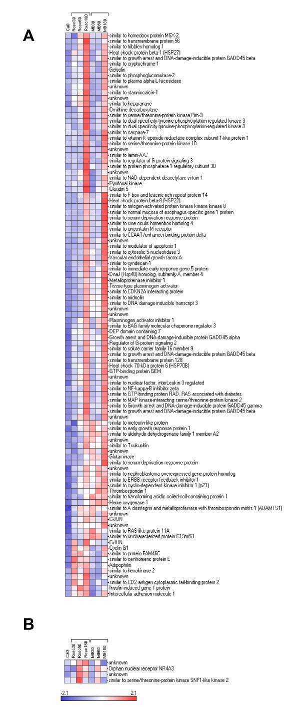 https://cdn.ncbi.nlm.nih.gov/pmc/blobs/b8a6/2904268/3acd9e0f5385/1755-8794-3-27-5.jpg