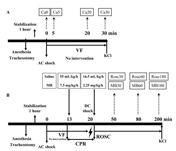 https://cdn.ncbi.nlm.nih.gov/pmc/blobs/b8a6/2904268/6e9f6ea25f44/1755-8794-3-27-1.jpg