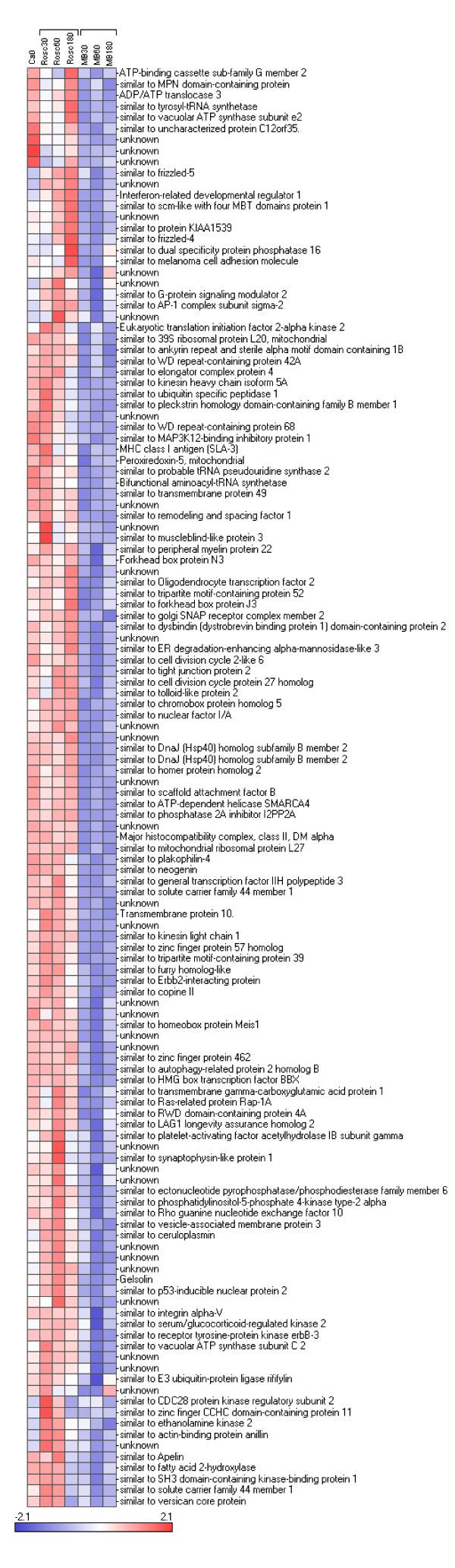 https://cdn.ncbi.nlm.nih.gov/pmc/blobs/b8a6/2904268/9b91333f5f65/1755-8794-3-27-8.jpg