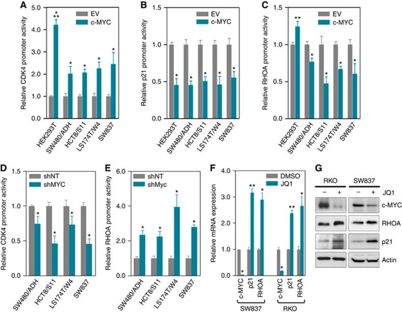 https://cdn.ncbi.nlm.nih.gov/pmc/blobs/b8a7/5765235/9736a4ea266b/bjc2017420f5.jpg