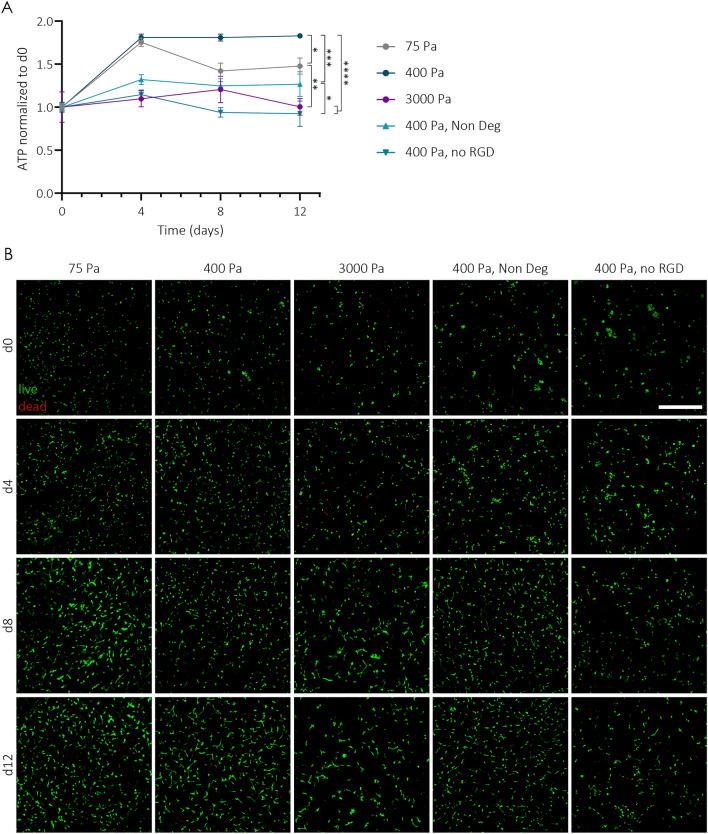 https://cdn.ncbi.nlm.nih.gov/pmc/blobs/b8a9/10901800/c62229663914/41598_2024_55411_Fig2_HTML.jpg