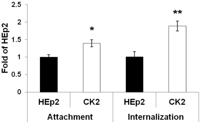 https://cdn.ncbi.nlm.nih.gov/pmc/blobs/b8a9/3899303/88c510ece75b/pone.0086698.g003.jpg
