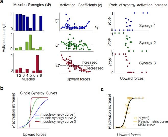 https://cdn.ncbi.nlm.nih.gov/pmc/blobs/b8a9/6586614/a67cac363f8a/41598_2019_45480_Fig2_HTML.jpg