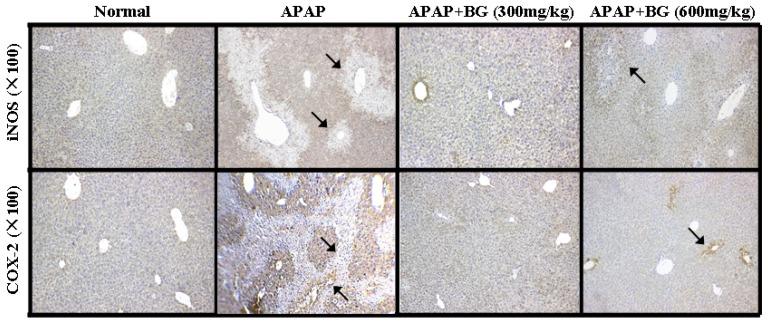 https://cdn.ncbi.nlm.nih.gov/pmc/blobs/b8b0/6154718/fb87e092a18b/molecules-22-00664-g006.jpg