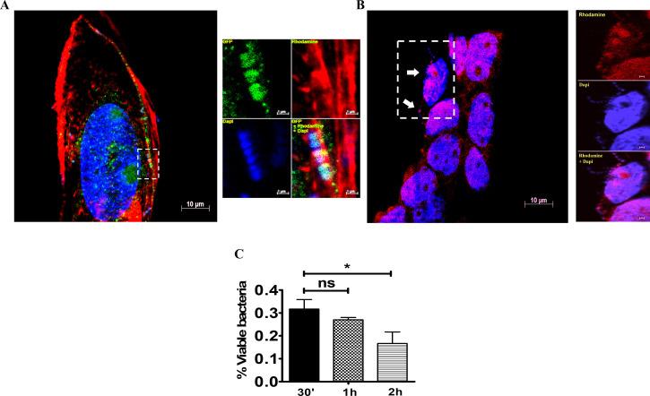 https://cdn.ncbi.nlm.nih.gov/pmc/blobs/b8b1/8205152/a117370d880b/pone.0253242.g006.jpg