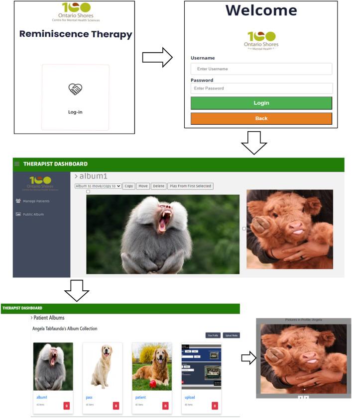https://cdn.ncbi.nlm.nih.gov/pmc/blobs/b8b4/10068196/a9130bde3784/40520_2023_2394_Fig1_HTML.jpg