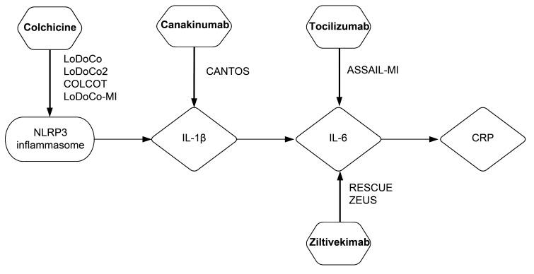 https://cdn.ncbi.nlm.nih.gov/pmc/blobs/b8b5/11270465/8026ed0255b9/2153-8174-24-1-010-g1.jpg