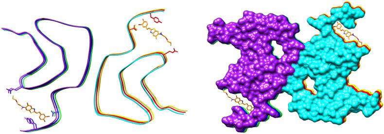 https://cdn.ncbi.nlm.nih.gov/pmc/blobs/b8b6/10342860/76189e378cb3/ijms-24-11152-g017.jpg