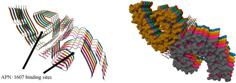 https://cdn.ncbi.nlm.nih.gov/pmc/blobs/b8b6/10342860/d26c68759736/ijms-24-11152-g019.jpg