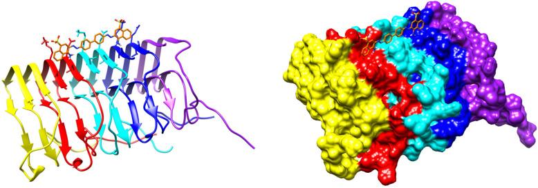 https://cdn.ncbi.nlm.nih.gov/pmc/blobs/b8b6/10342860/ddc82297d690/ijms-24-11152-g016.jpg