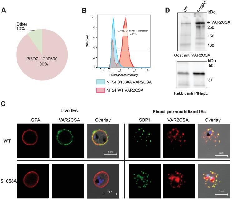 https://cdn.ncbi.nlm.nih.gov/pmc/blobs/b8b6/11761665/849fb24c2c6e/ppat.1012861.g008.jpg