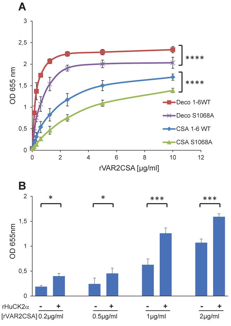 https://cdn.ncbi.nlm.nih.gov/pmc/blobs/b8b6/11761665/ac776113742d/ppat.1012861.g007.jpg