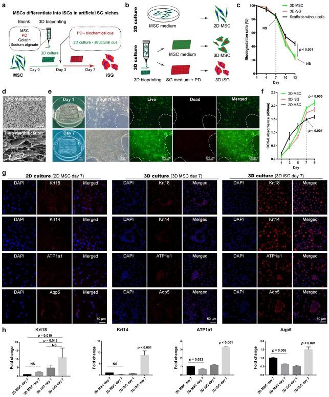 https://cdn.ncbi.nlm.nih.gov/pmc/blobs/b8b7/10309082/562419858423/tkad032f1.jpg