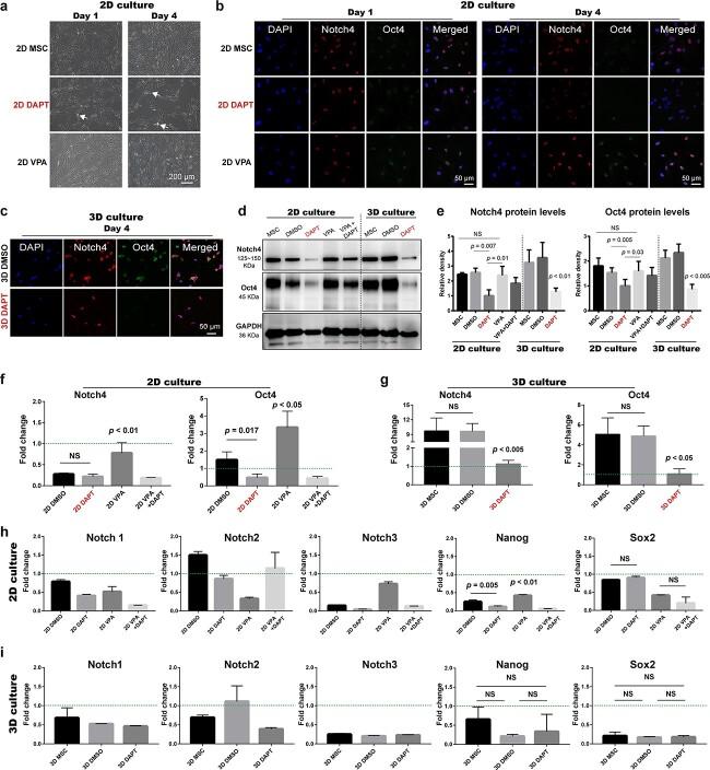 https://cdn.ncbi.nlm.nih.gov/pmc/blobs/b8b7/10309082/7b8a17d42eed/tkad032f3.jpg