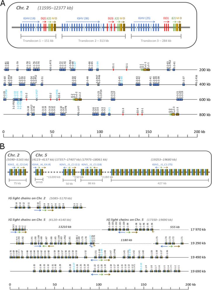 https://cdn.ncbi.nlm.nih.gov/pmc/blobs/b8b7/11223323/9933b15514c2/12864_2024_10571_Fig1_HTML.jpg