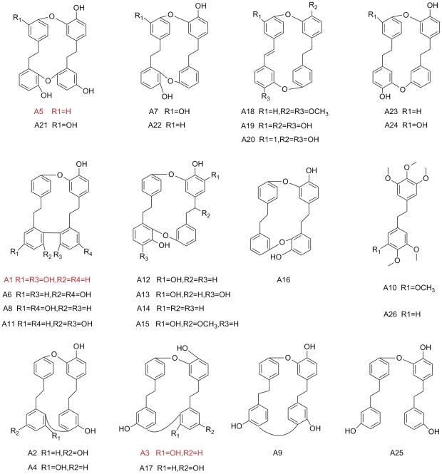 https://cdn.ncbi.nlm.nih.gov/pmc/blobs/b8b7/3236236/a052ac326f25/pone.0028953.g001.jpg