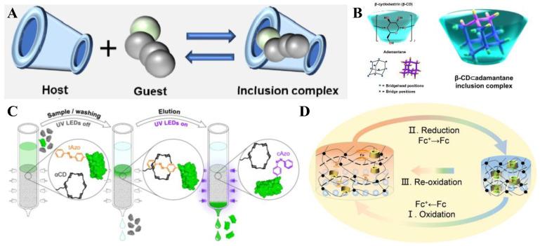 https://cdn.ncbi.nlm.nih.gov/pmc/blobs/b8bb/12348549/18d7e2df0069/molecules-30-03225-g002.jpg